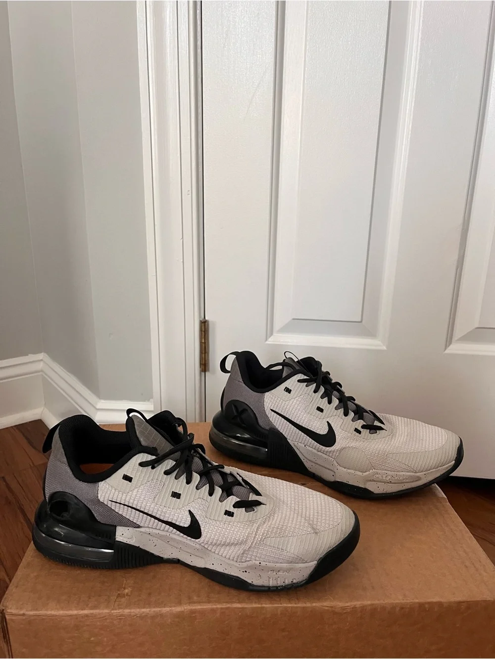 Nike Nike Air Max Alpha Trainer 5